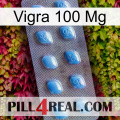 Vigra 100 Mg viagra3